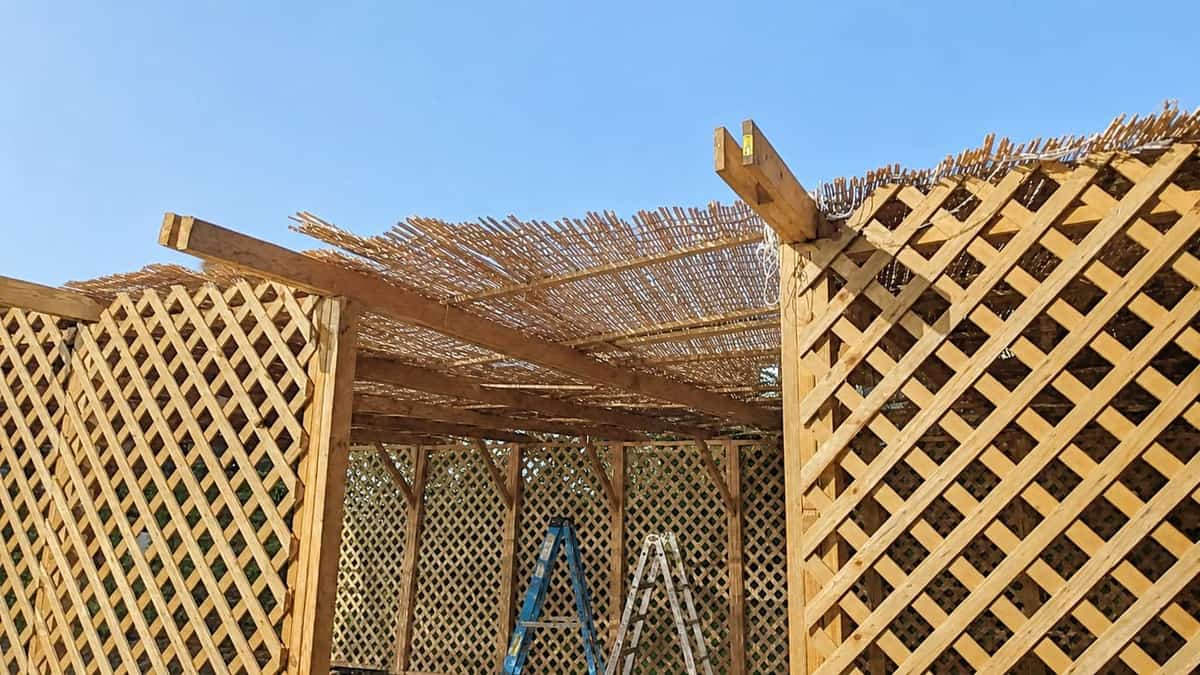 Finished custom wood lattice sukkah with a bamboo mat in daylight