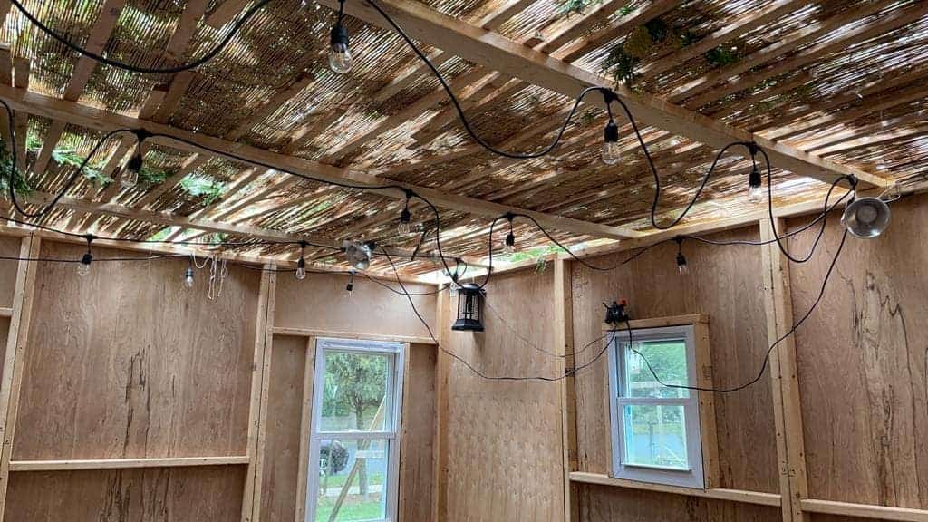 A finished sukkah interior with schach and string lights